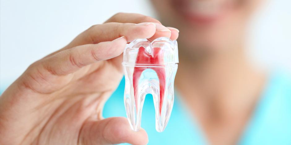 Praktiniai įgūdžiai odontologijoje